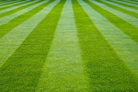 grass-striped
