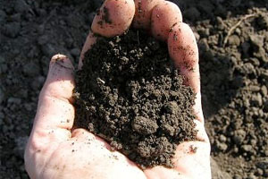 soil-handful